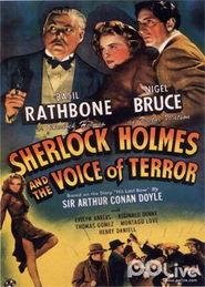 恐怖之声在线观看